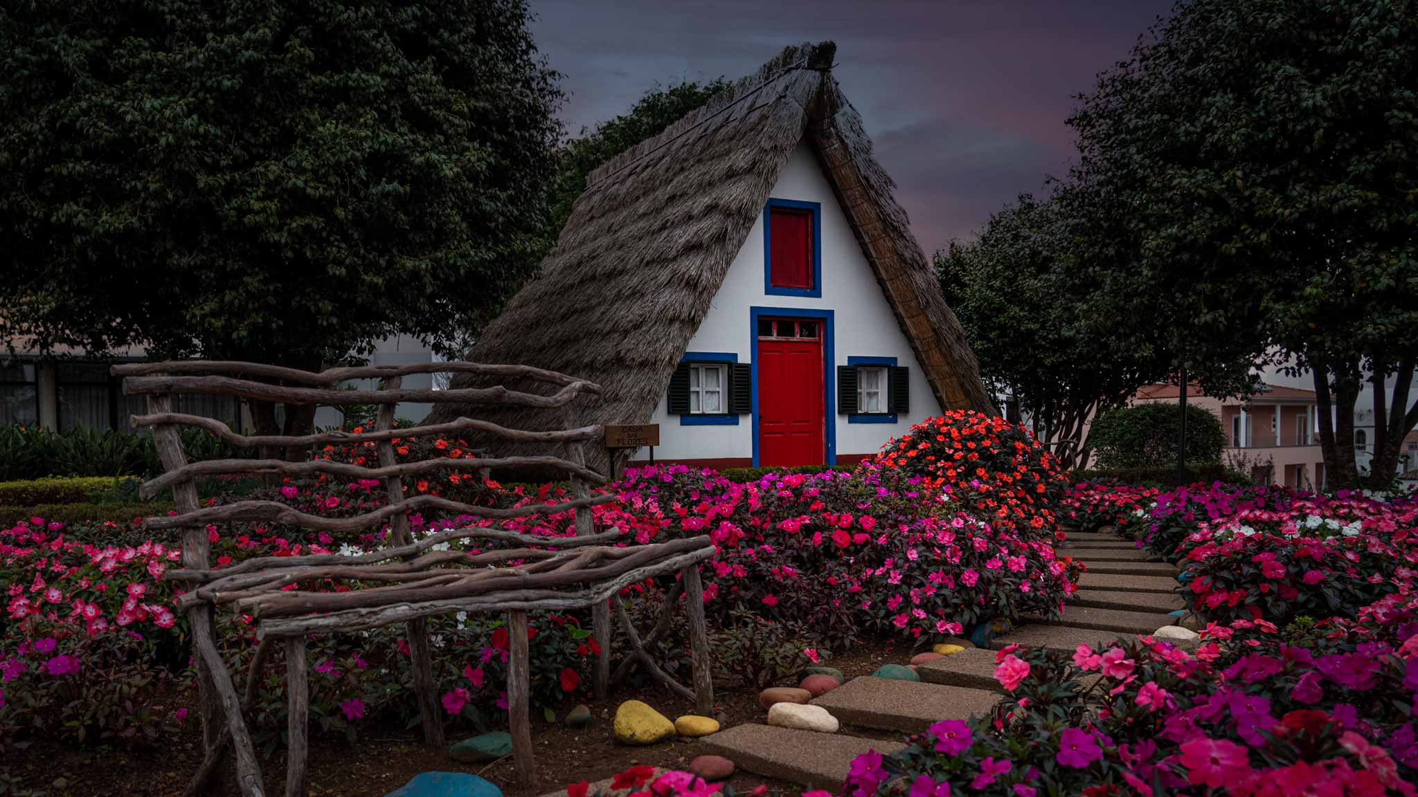 Madeira in photos: 40 postcards from Portugal’s island of eternal spring