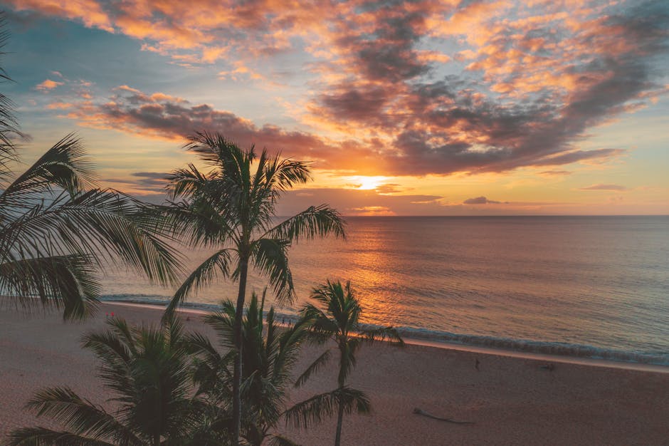 Vibrant sunset over the ocean with palm trees and sandy beach. Perfect for travel inspiration.