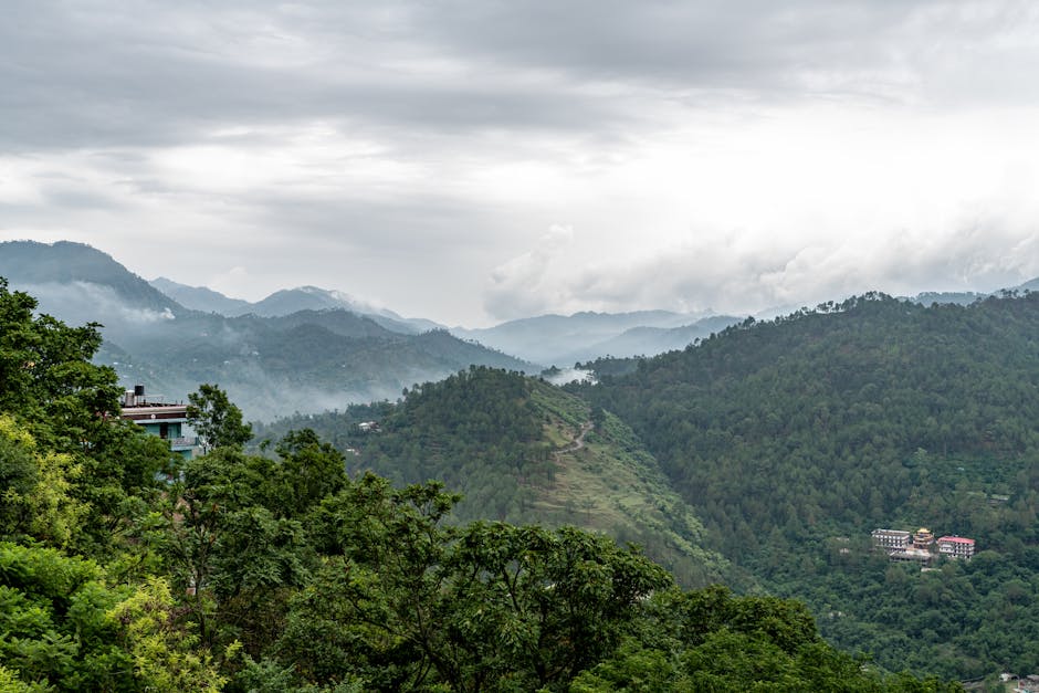 Stunning view of the lush green mountains and misty skies in Solan, Himachal Pradesh, India.