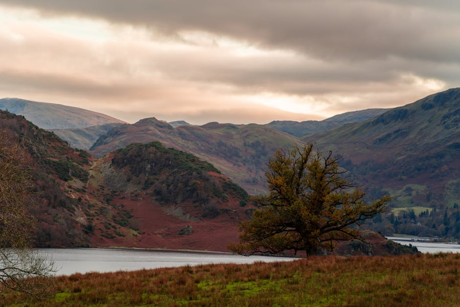 Tranquil autumn landscape of Lake District with a lone tree and moody sky.