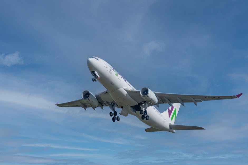 Airplane soaring against blue sky in Auckland, New Zealand.